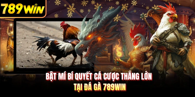 Bật mí bí quyết cá cược thắng lớn tại đá gà 789WIN