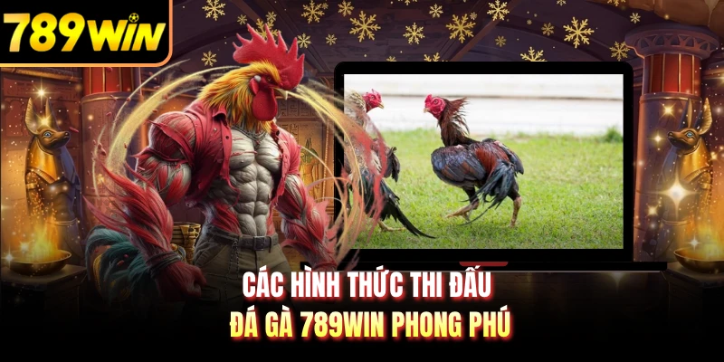 Các hình thức thi đấu đá gà 789WIN phong phú