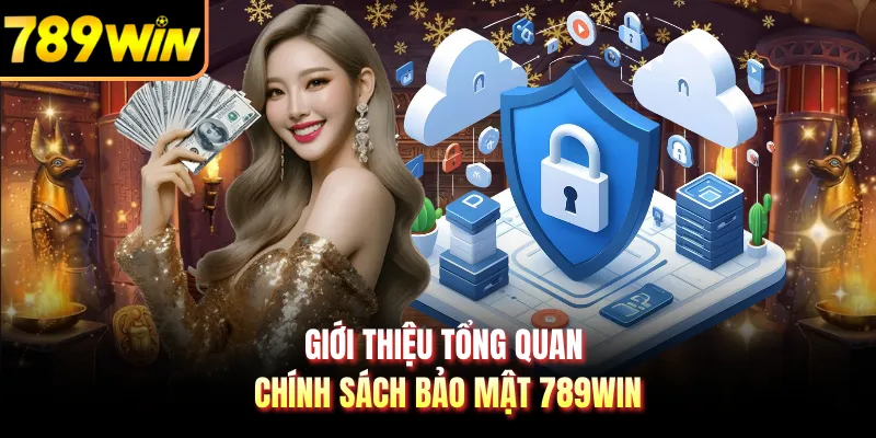 Giới thiệu tổng quan chính sách bảo mật 789WIN